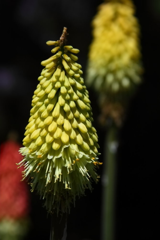 2012 05 17 2871